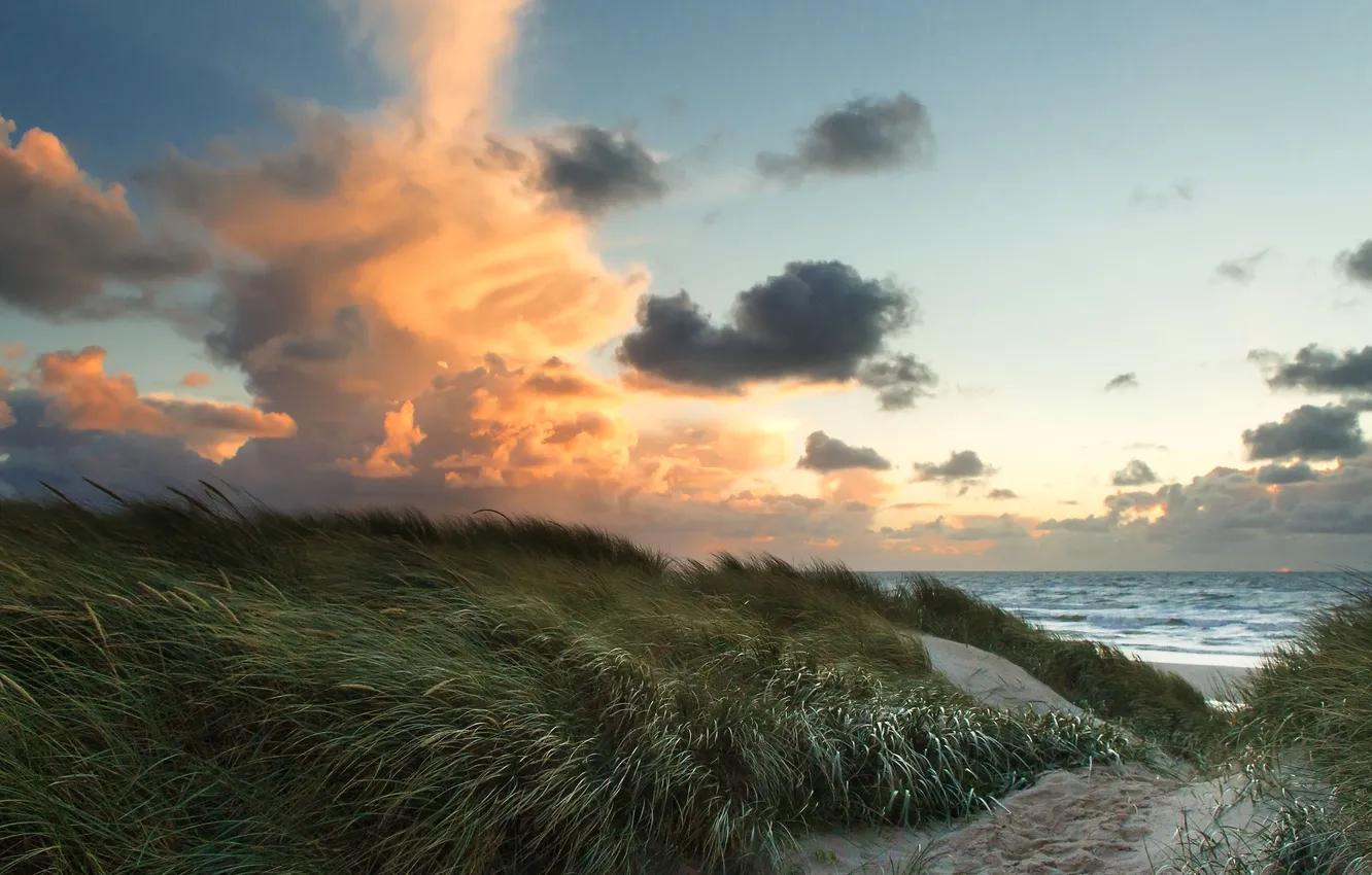 Фото обои песок, море, трава, облака, ветер