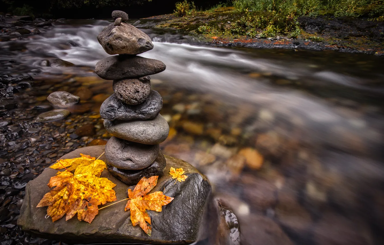Фото обои осень, листья, река, камни