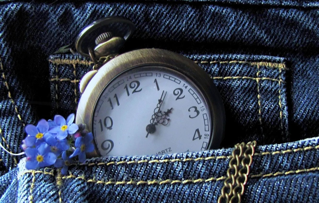 Фото обои цветы, часы, джинсы, цепочка, карман