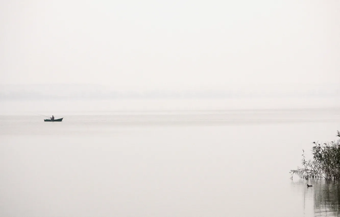 Фото обои туман, озеро, лодка, рыбак, утка