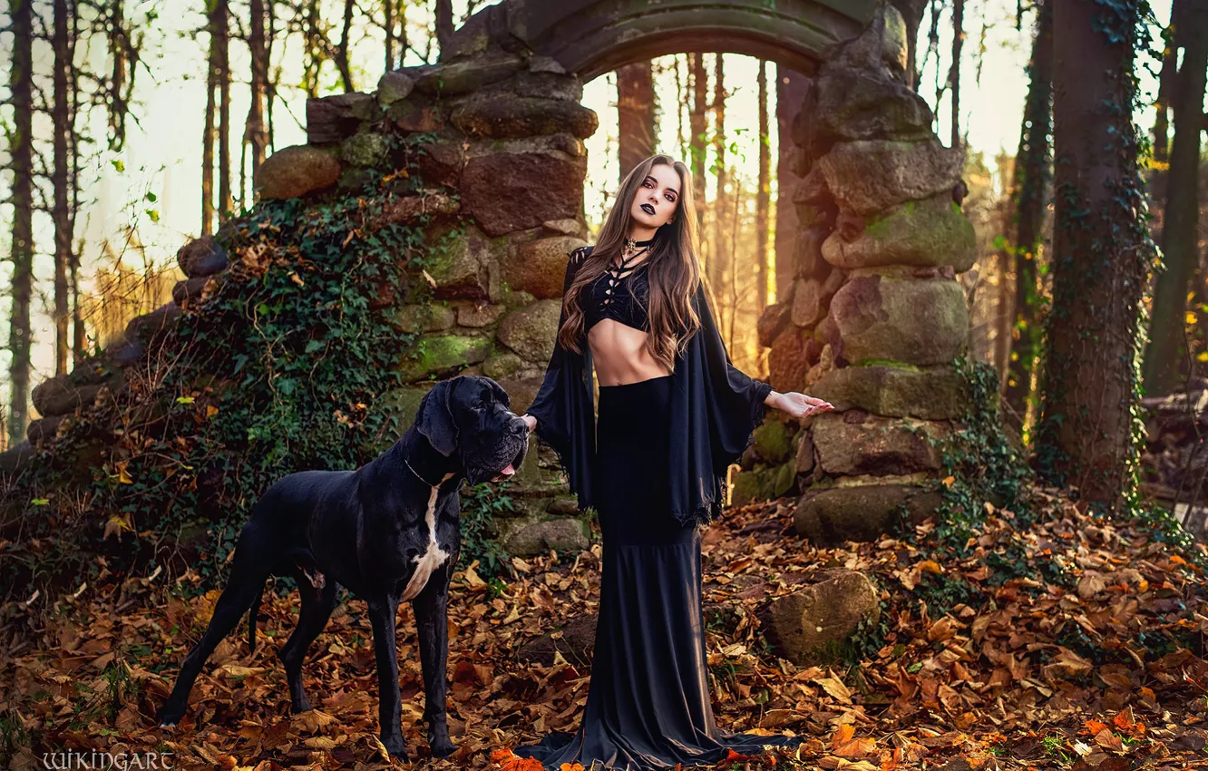 Фото обои девушка, природа, поза, стиль, собака, макияж, костюм, наряд