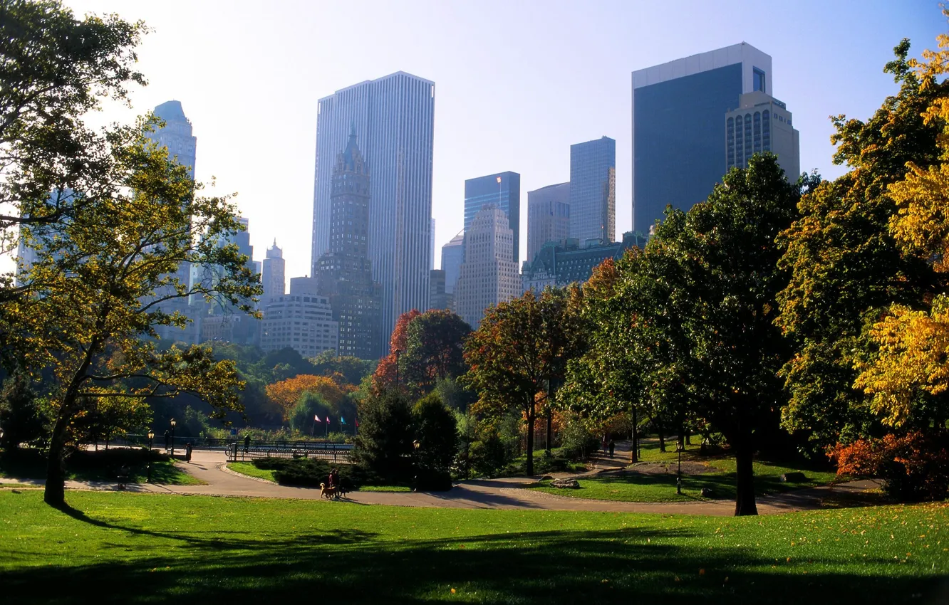 Фото обои деревья, city, город, парк, тропинка, park, new york, usa