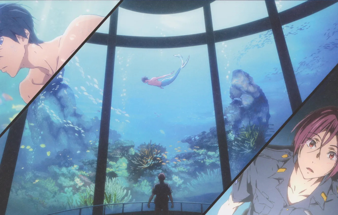 Фото обои рыбки, водоросли, встреча, русалка, аквариум, полицейский, mermaid, free