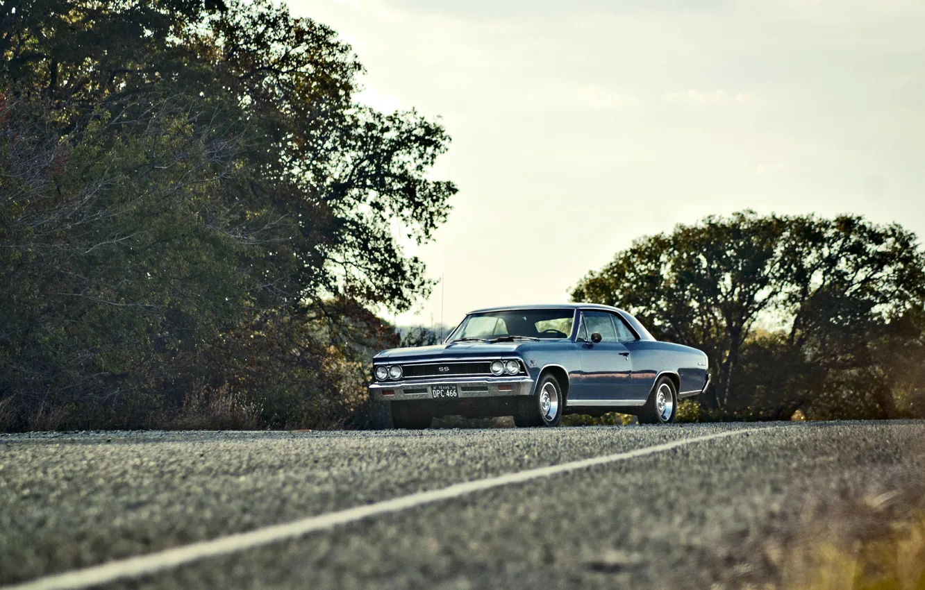 Фото обои дорога, небо, деревья, фары, Chevrolet, колеса, 1966, Chevelle