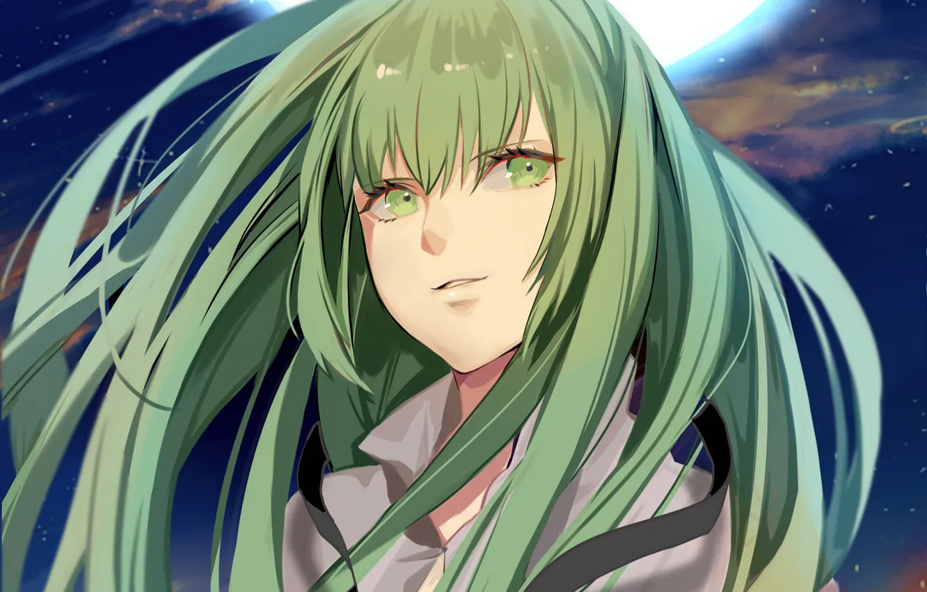 Фото обои взгляд, зелёные волосы, Enkidu, Fate strange fake