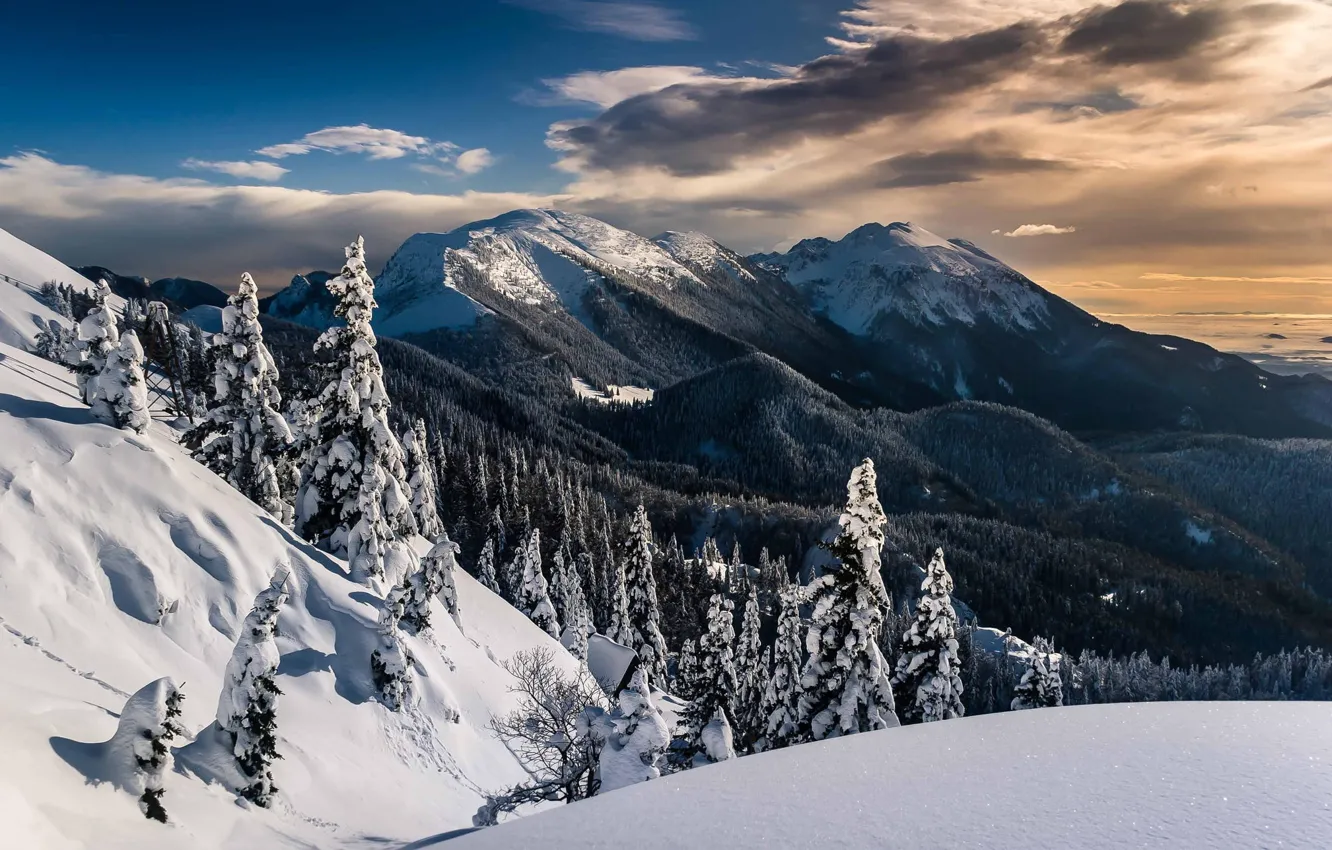 Фото обои зима, снег, пейзаж, горы, природа, леревья