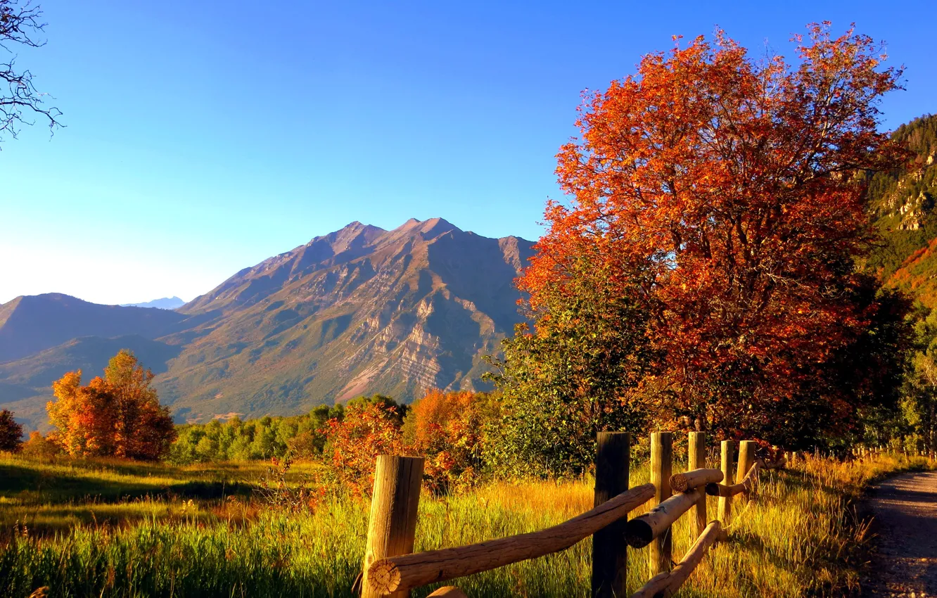 Фото обои дорога, осень, лес, небо, трава, листья, деревья, горы