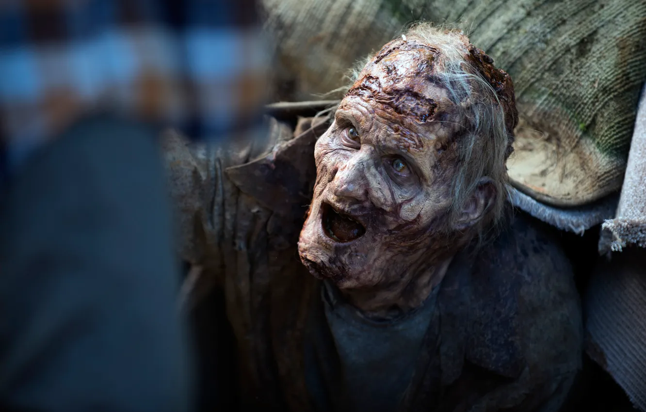 Фото обои The Walking Dead, Ходячие, Season 5, Episode 12