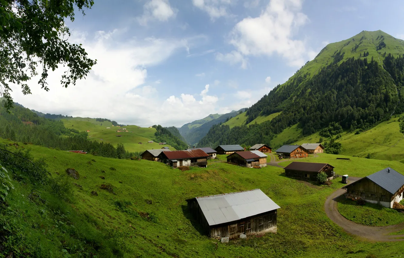 Фото обои city, nature, Town