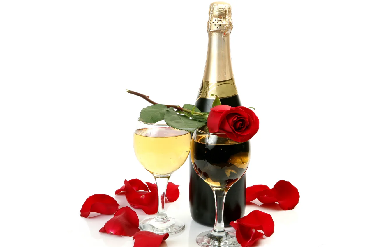 Фото обои вино, роза, бутылка, лепестки, бокалы, белый фон, шампанское, красная