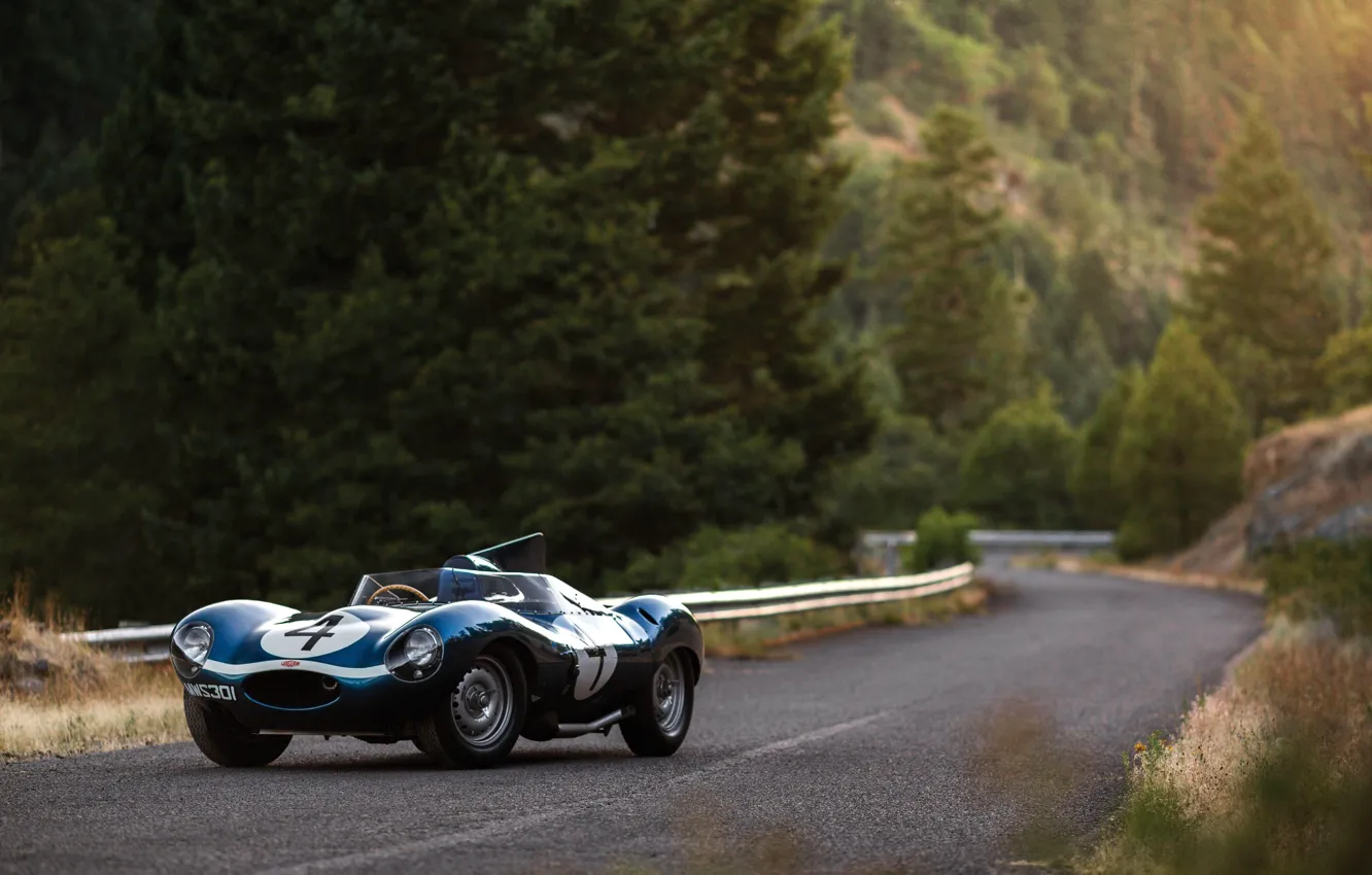 Фото обои Road, Race Car, Forest, Jaguar D-Type