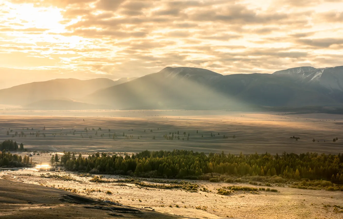 Фото обои поле, свет, горы, туман, утро, долина