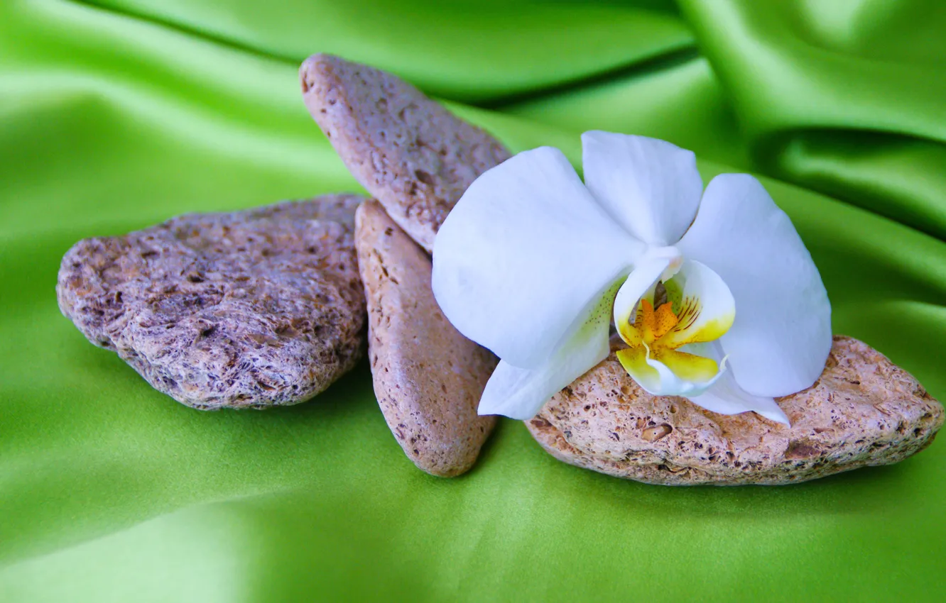 Фото обои цветок, галька, камни, шелк, ткань, белая, зеленый фон, орхидея
