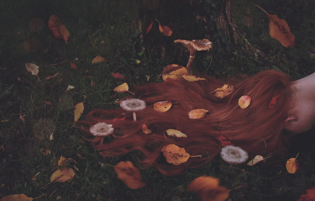 Фото обои листья, волосы, грибы, рыжие