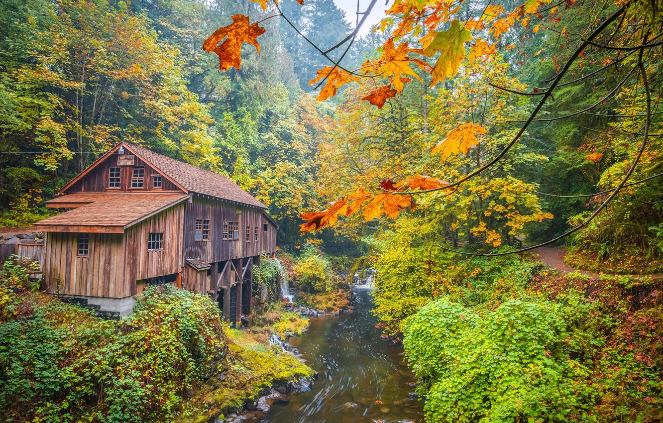 Фото обои осень, лес, природа, река, мельница, Вашингтон, Cedar Creek Grist Mill