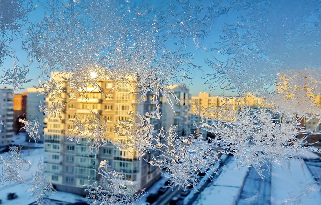 Фото обои зима, узор, дома, окно, мороз
