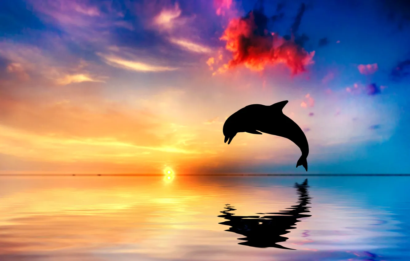 Фото обои закат, дельфин, отражение, океан, прыжок, силуэт