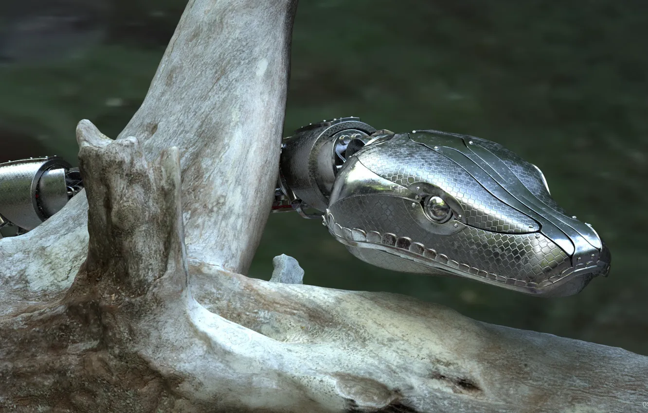 Фото обои змея, коряга, RoboSnake