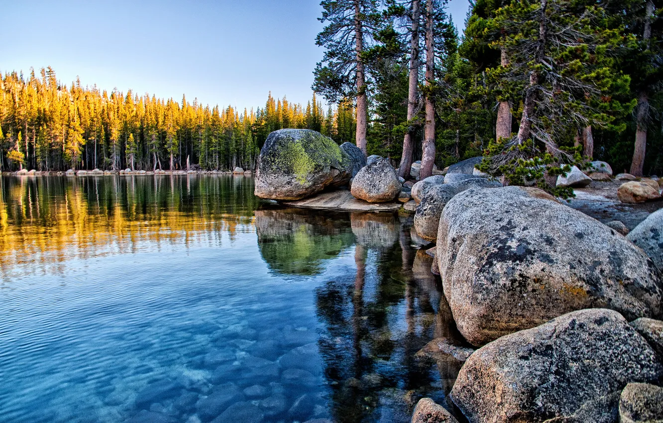 Фото обои лес, камни, Калифорния, Йосемити, California, валуны, Yosemite National Park, Tenaya Lake