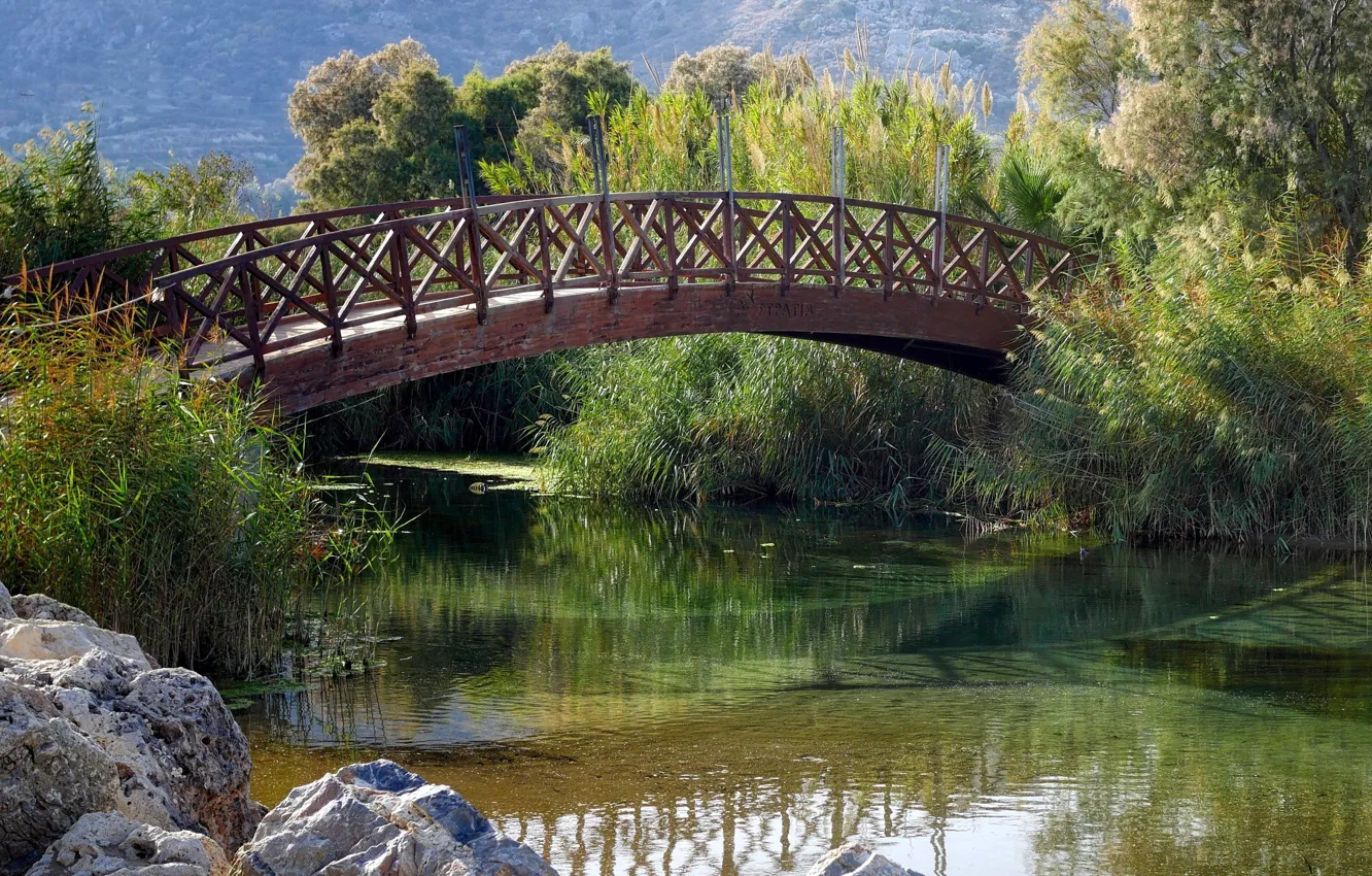 Фото обои мост, парк, река