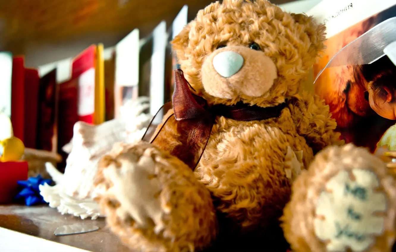 Фото обои игрушка, мишка, плюшевый, полки