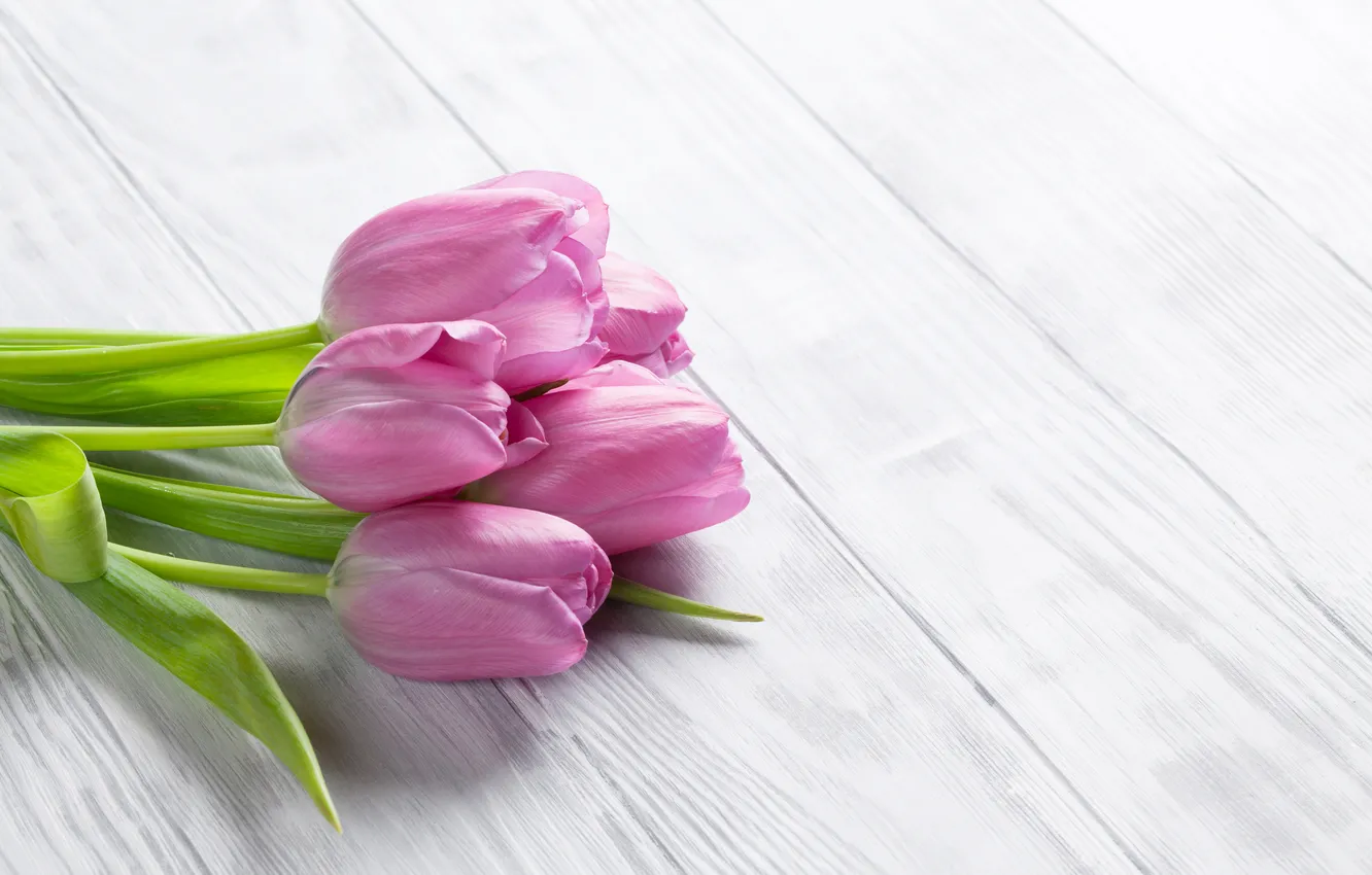 Фото обои цветы, букет, тюльпаны, wood, pink, flowers, tulips, spring