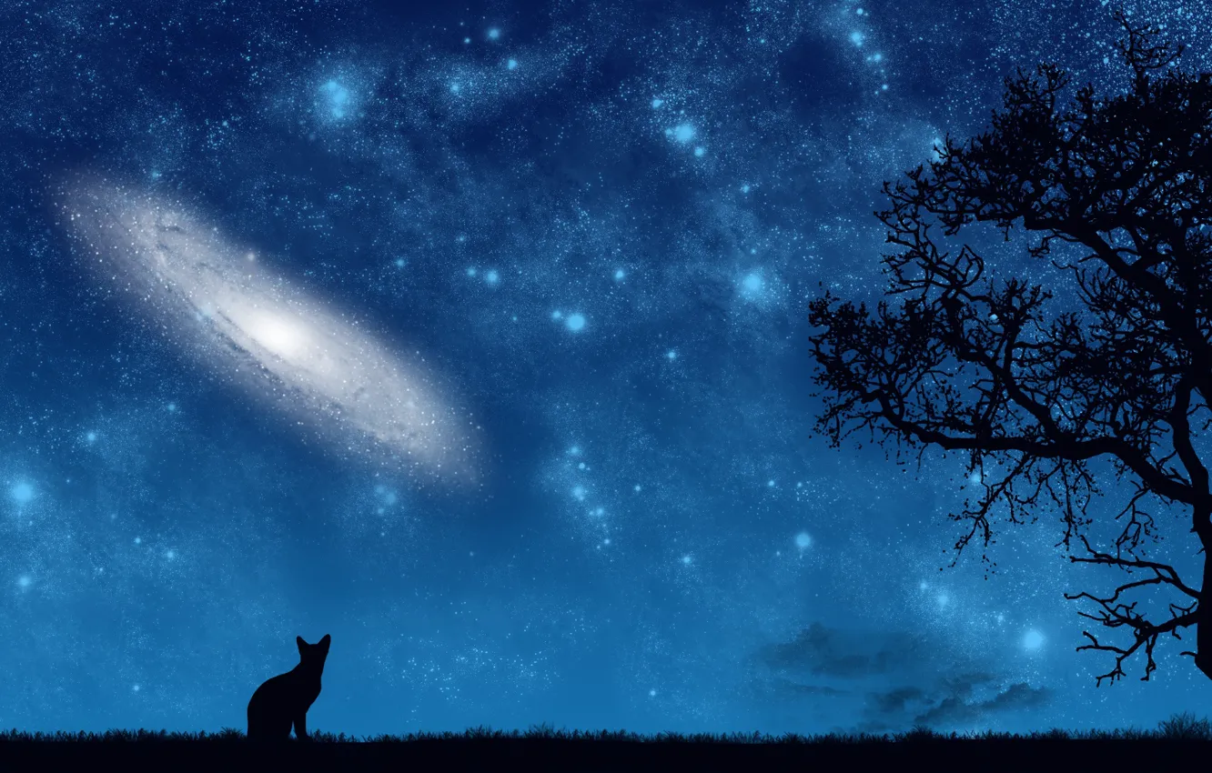 Фото обои кот, космос, ночь, дерево, вектор, арт, галактика, вечность