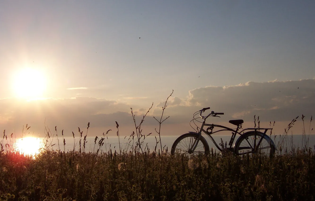 Фото обои трава, солнце, велосипед