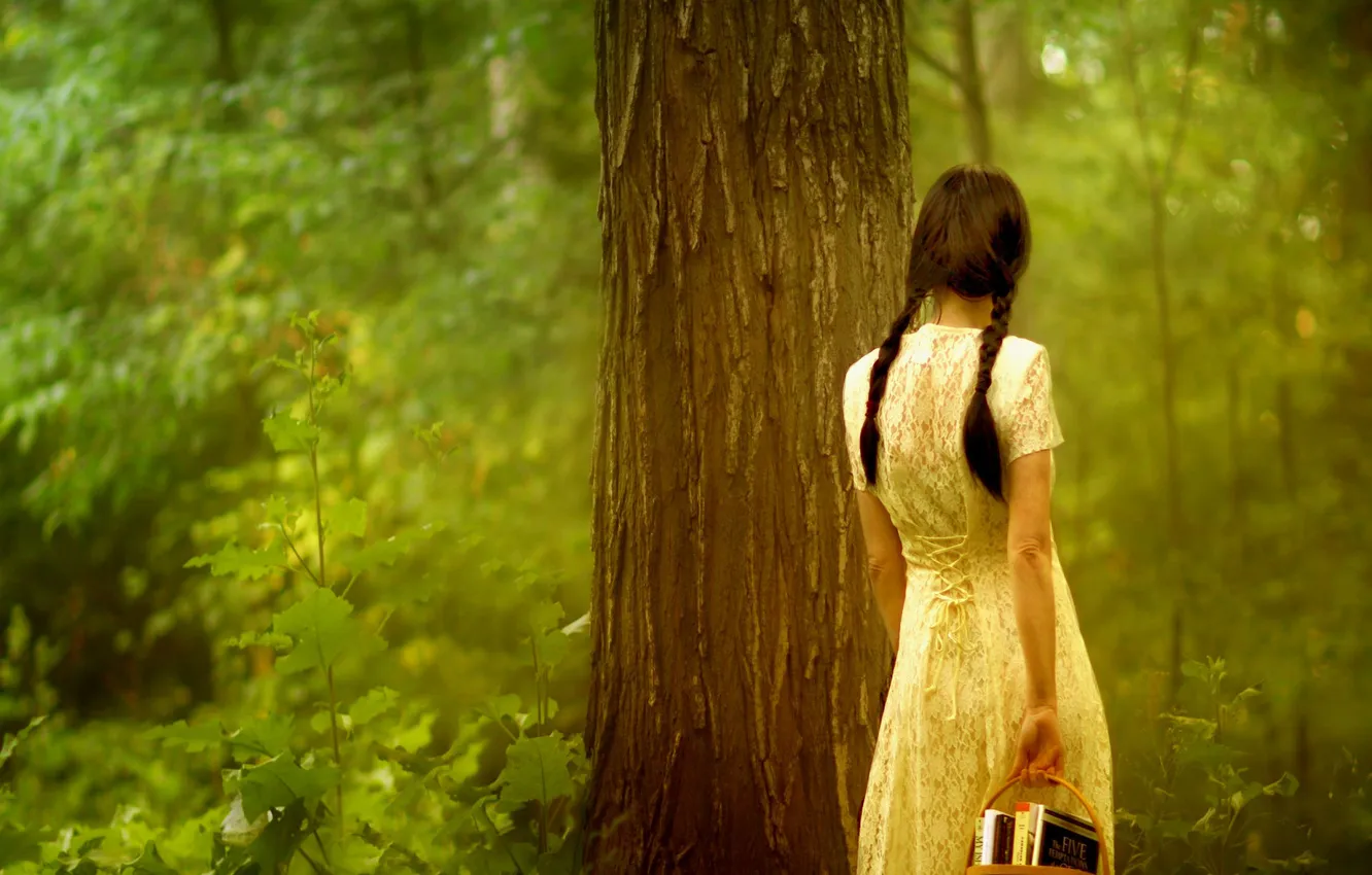 Фото обои листья, девушка, деревья, природа, фон, обои, настроения, книги