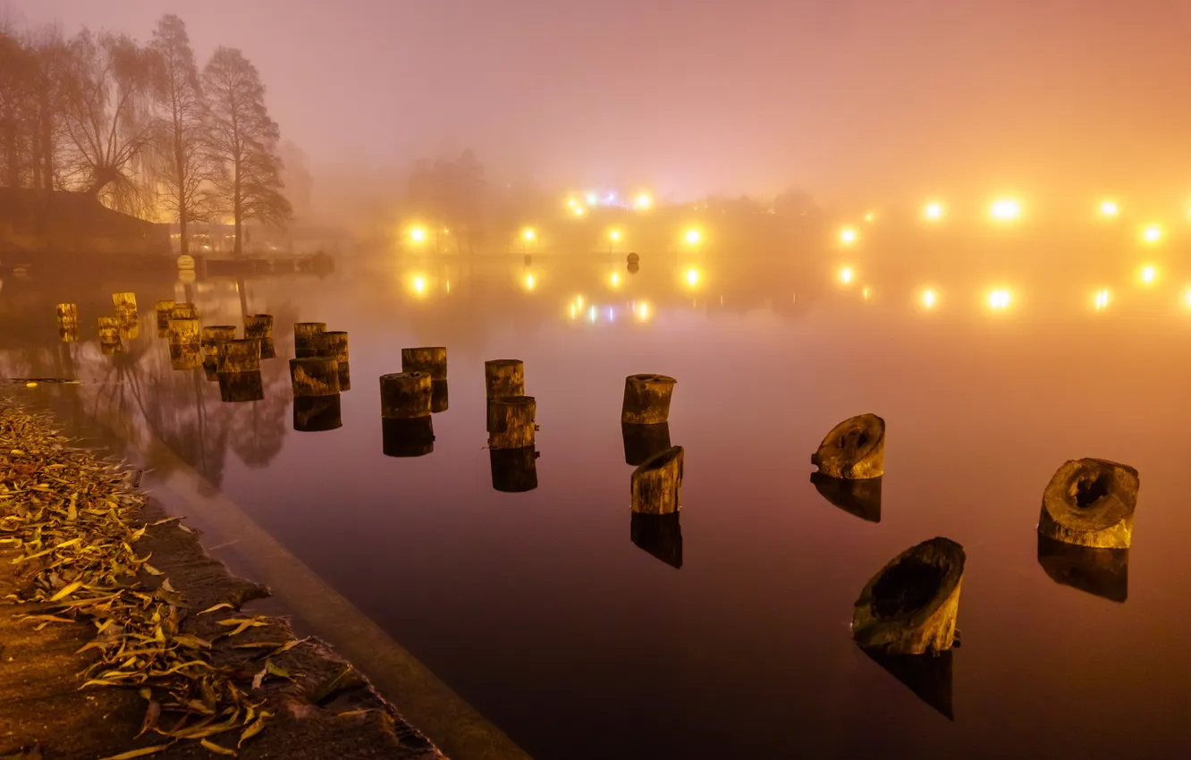 Фото обои ночь, туман, река