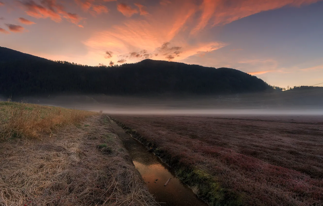 Фото обои Canada, Pitt Meadows, Pitt Lake