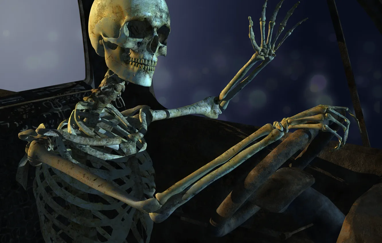 Фото обои skull, pose, bones, sitting