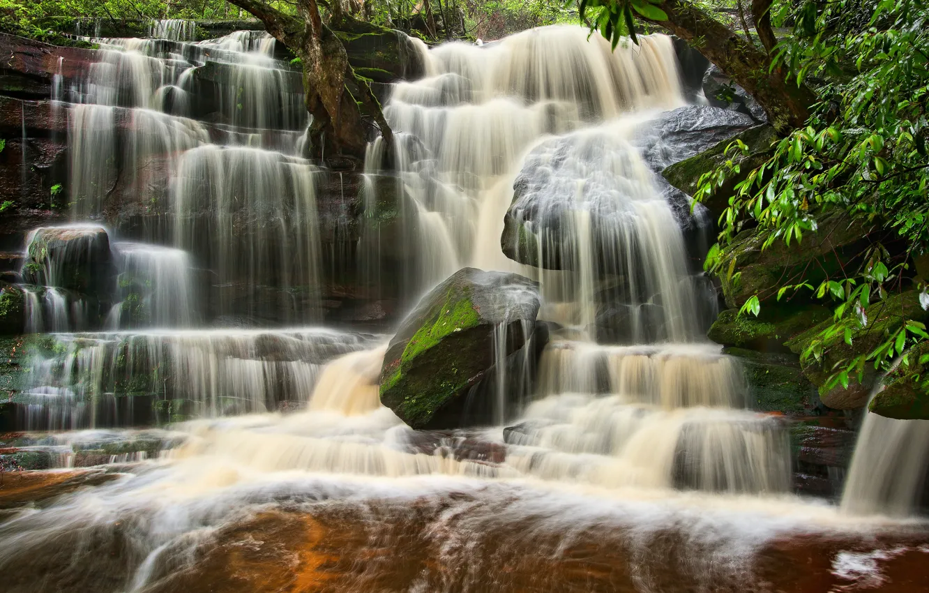 Фото обои водопад, Австралия, каскад, Australia, Brisbane Water National Park, Somersby Falls