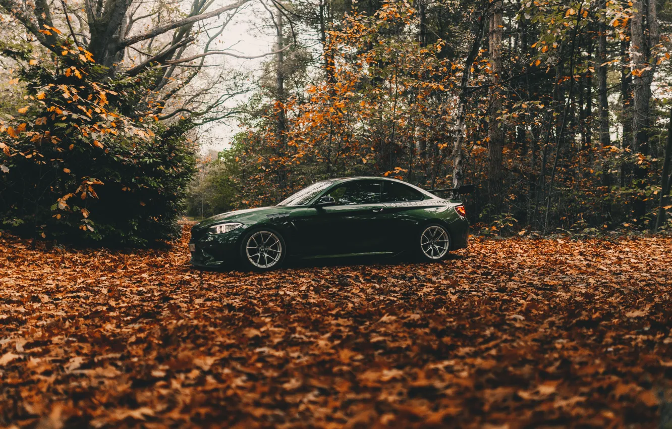 Фото обои BMW, Car, Wood, Coupe, Autumn, Tuning, Sportcar, Trees