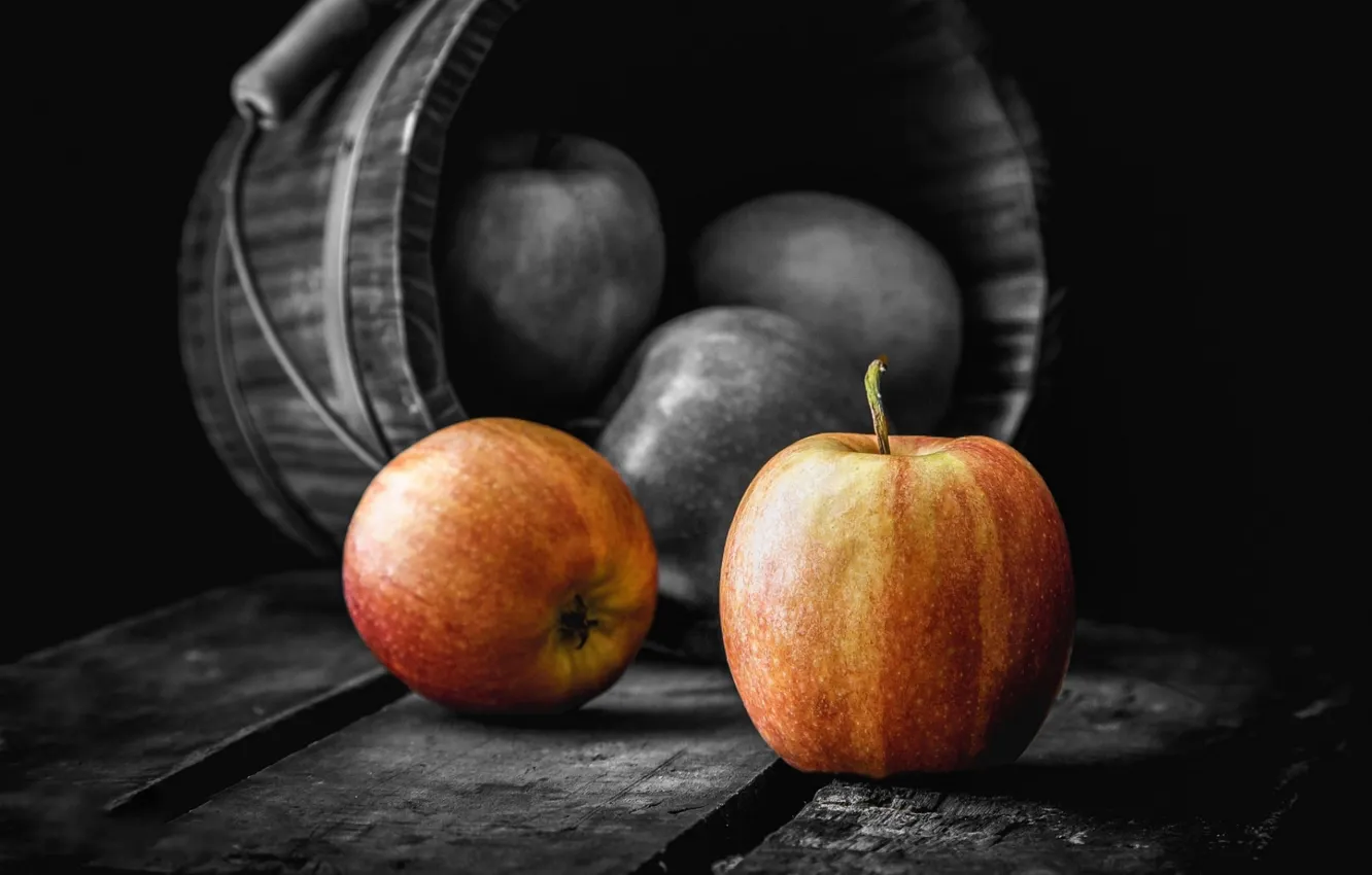 Фото обои осень, яблоки, урожай, ведро