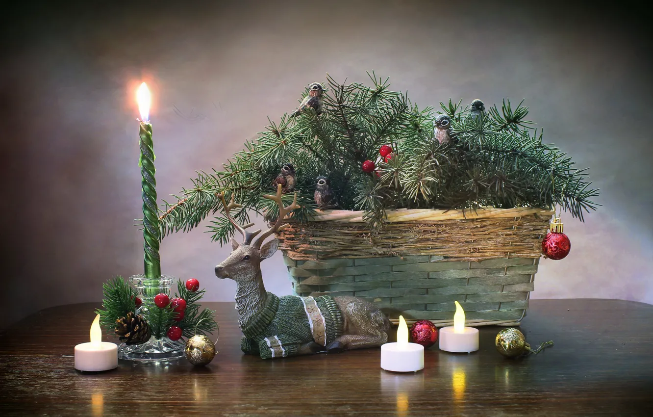 Фото обои ветки, праздник, корзина, новый год, рождество, ель, свечи, олень