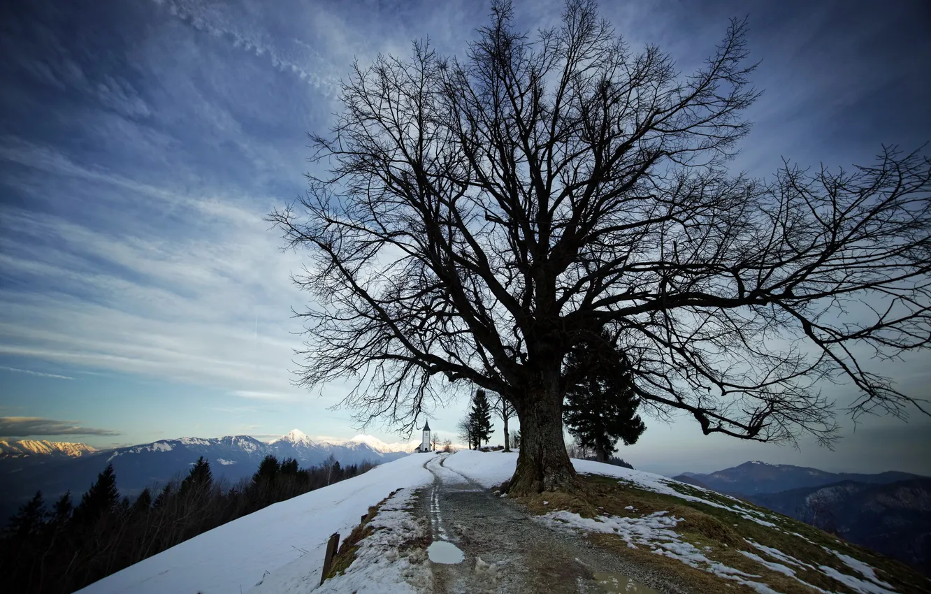 Фото обои зима, дерево, little church