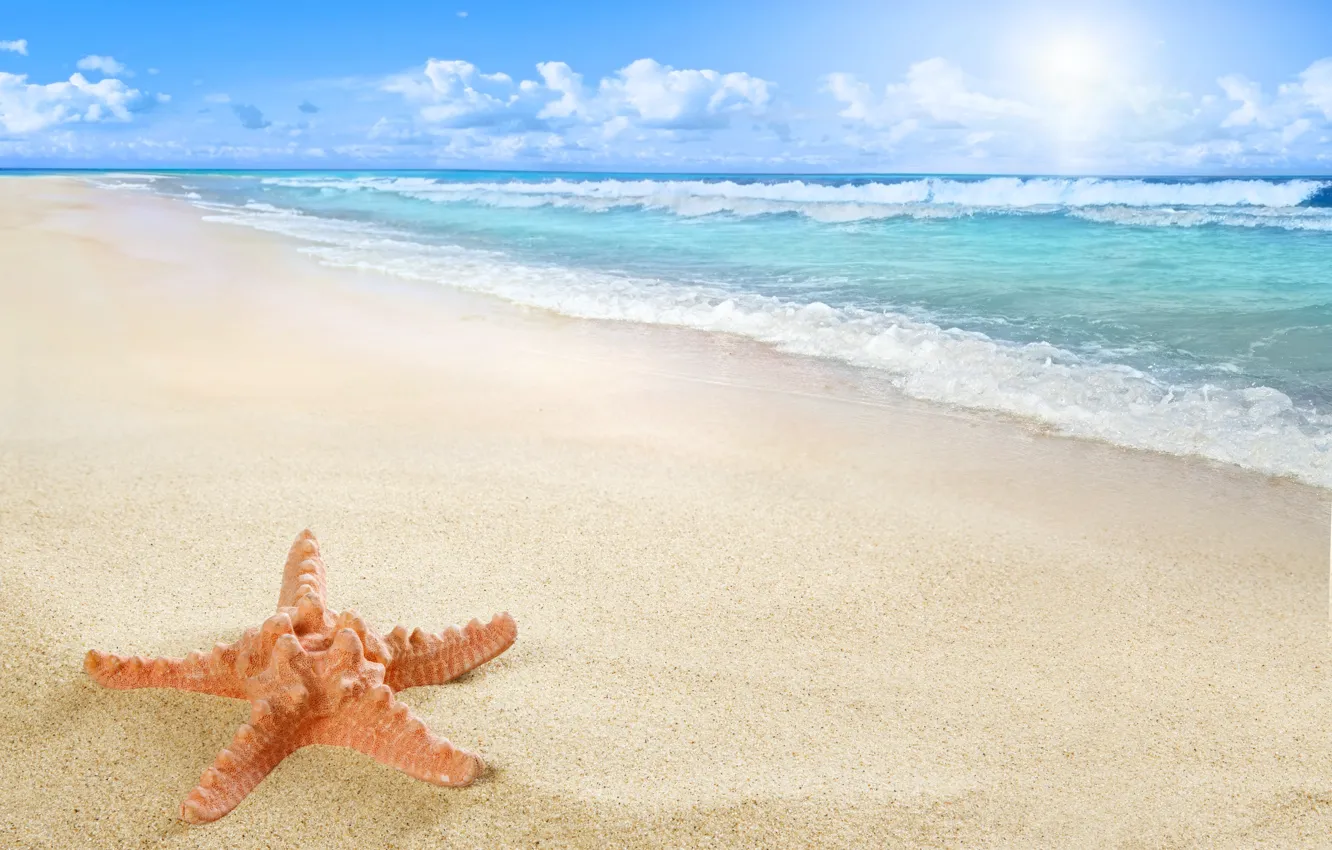 Фото обои beach, sea, sun, sand, starfish