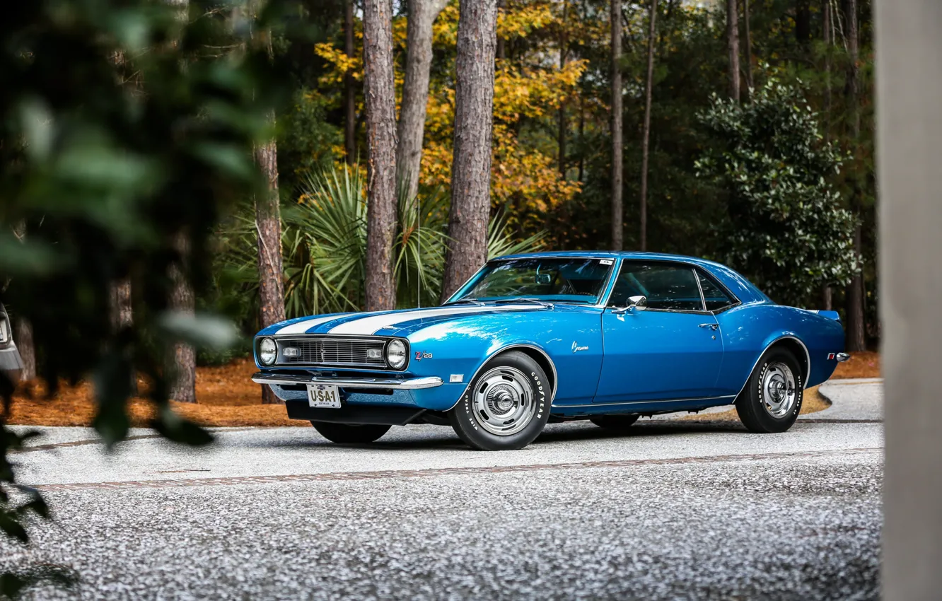Фото обои Chevrolet, Camaro, Classic, Blue, 1968, z28