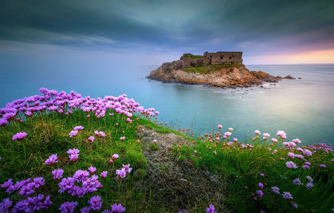 Фото обои море, цветы, Франция, крепость, Wim Denijs