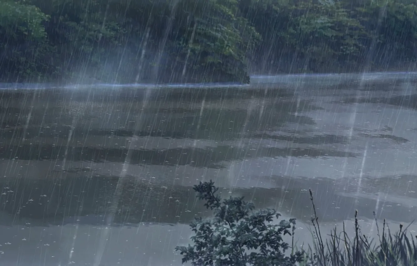 Фото обои Озеро, Деревья, Дождь, Аниме, Макото Синкай, Anime, Wallpaper, Clear
