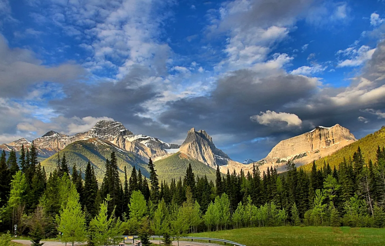 Фото обои лес, деревья, Канада, Альберта, Alberta, Canada, Канадские Скалистые горы, Wind Mountain