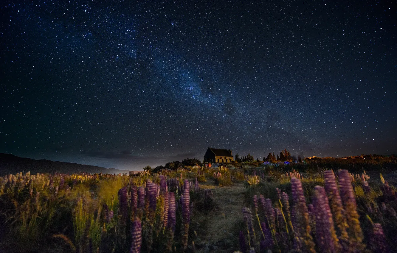 Фото обои небо, цветы, ночь, дом, ветер, тропа, звёзды, Новая Зеландия
