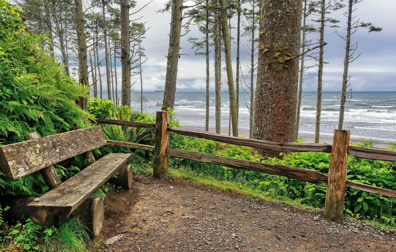 Фото обои waves, ocean, Washington, benches, Ruby Beach