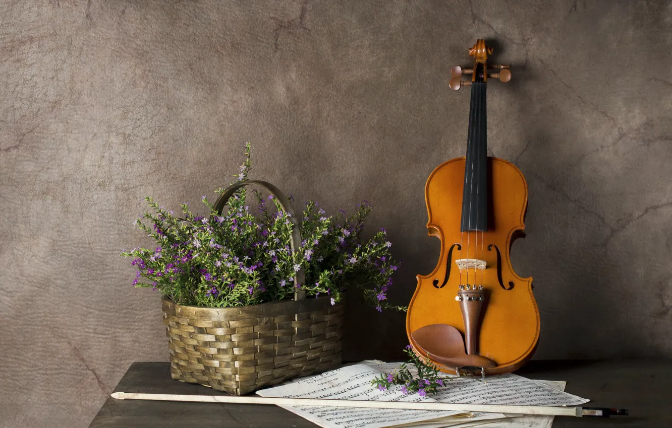 Фото обои цветы, музыка, скрипка