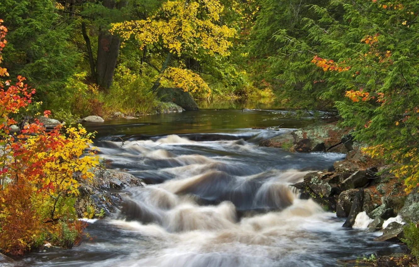 Фото обои осень, лес, река, водопад, Природа