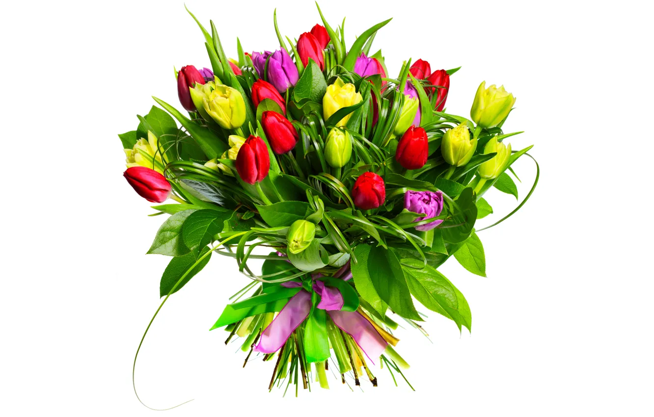 Фото обои цветы, букет, тюльпаны, бутоны