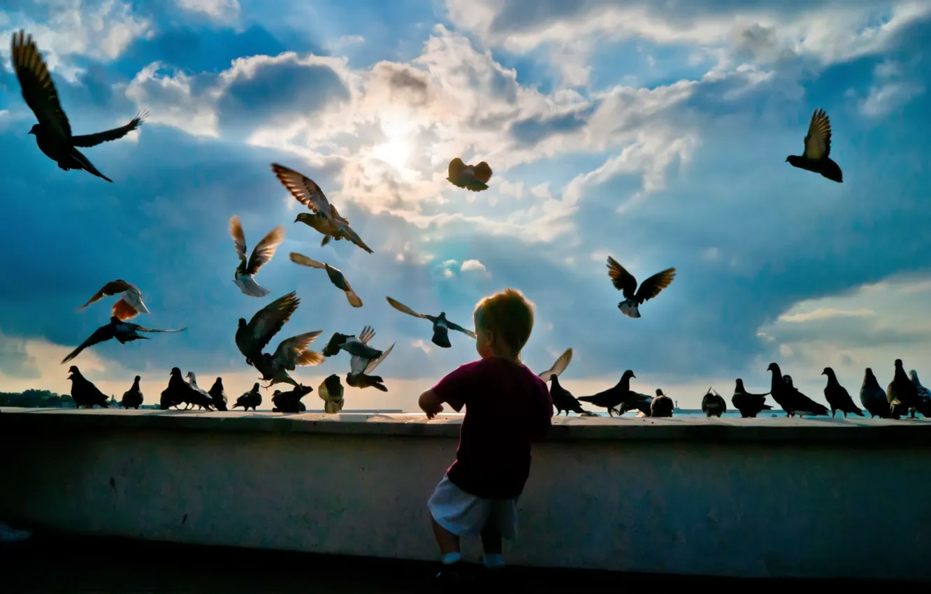 Фото обои небо, птицы, мальчик