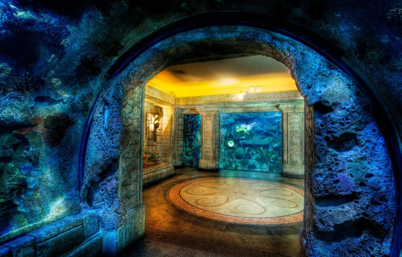 Фото обои мозаика, скала, дом, осьминог, пещера, подводное, жилище
