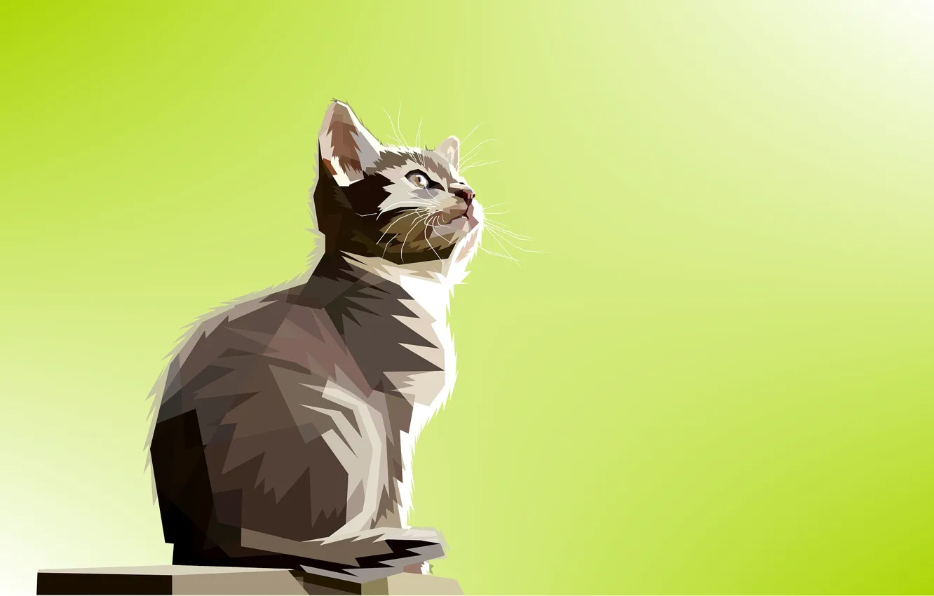 Рисунок кошки на столе